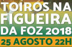 COMPETIÇÃO GANADERA NO ENCERRAMENTO DE TEMPORADA NO COLISEU FIGUEIRENSE PRONTO PARA CARTEL DE POSTÍN